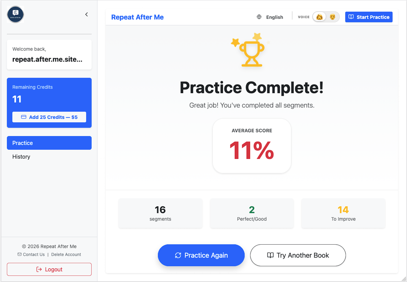 Desktop App Interface